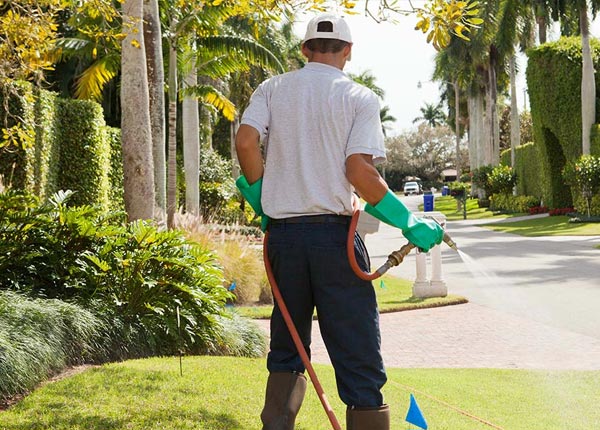 About Chaumont NY Pest Control